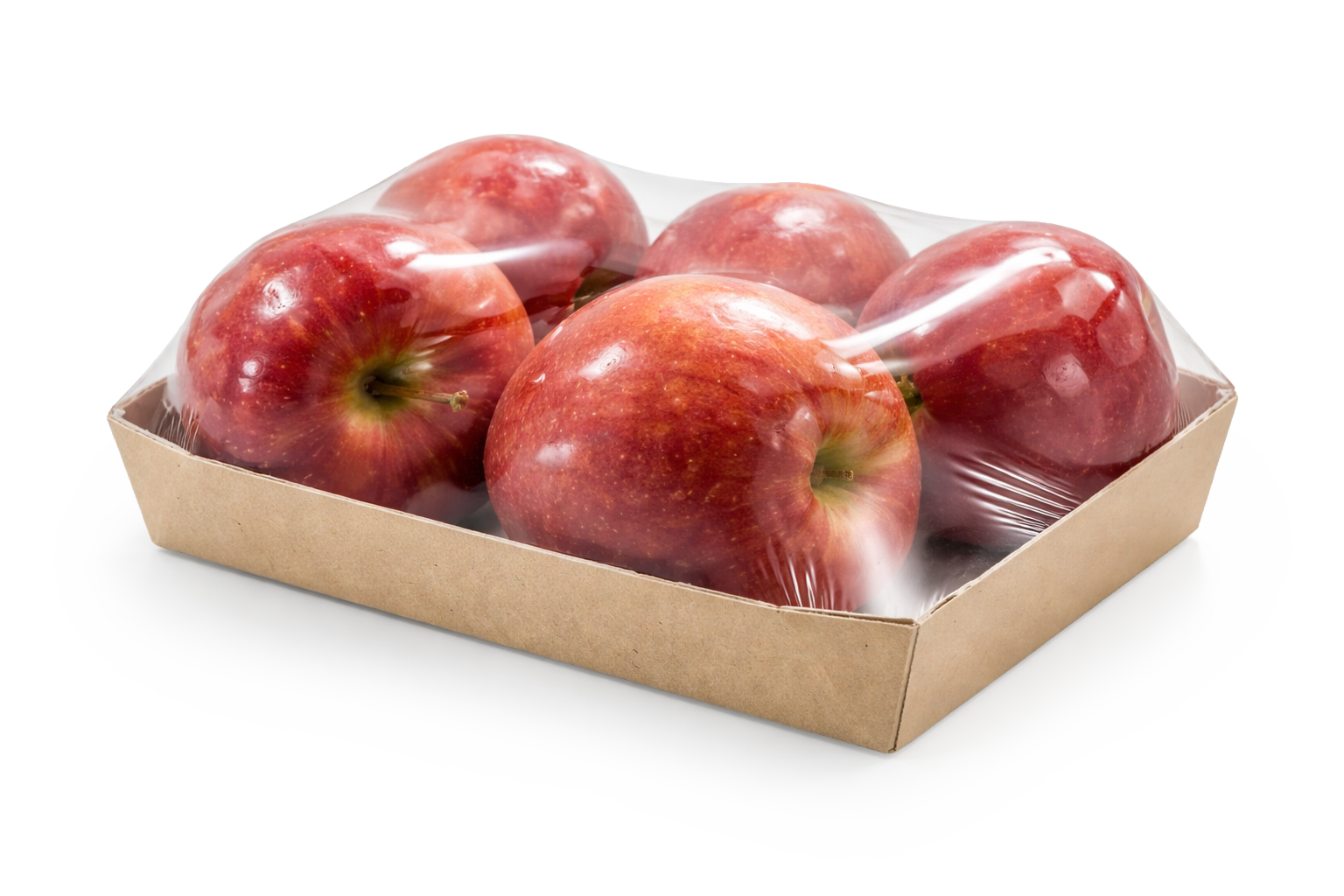 Neos - Tunnel di termoretrazione