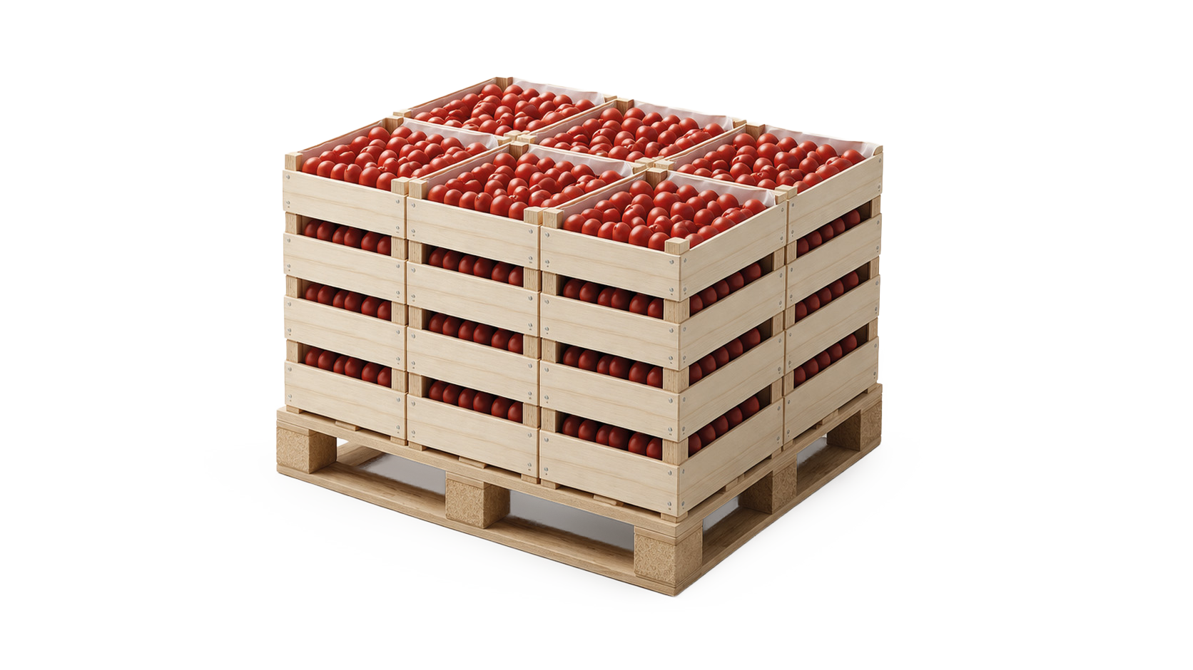 Tron Robot - Pallettizzatore robotico