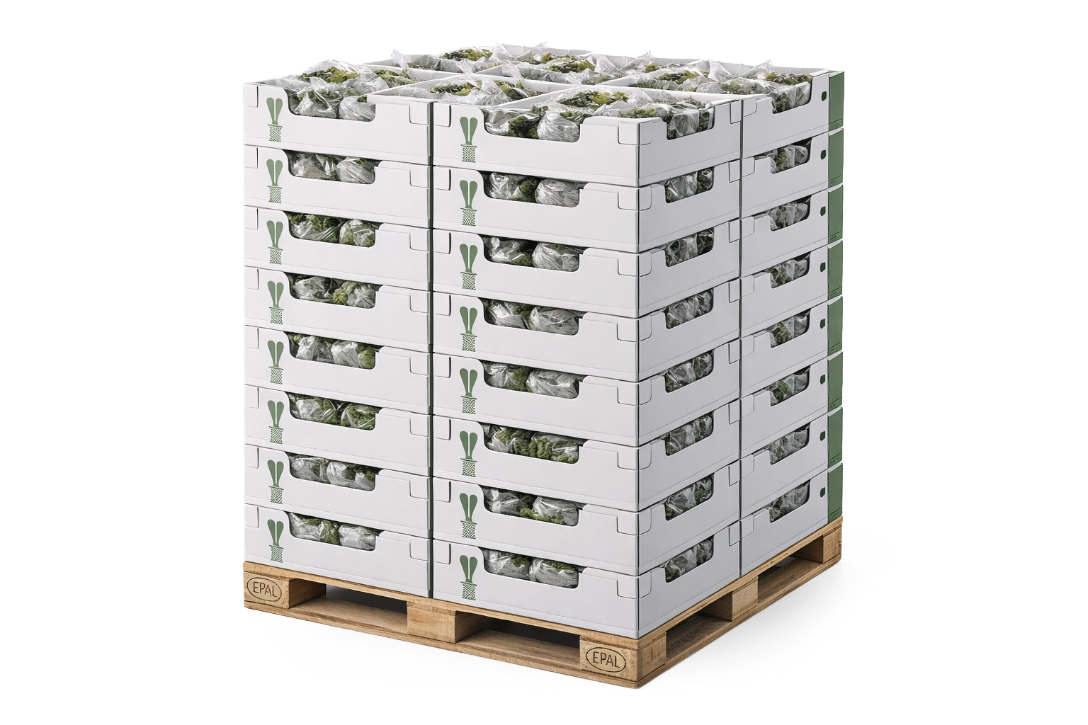 Tron Cartesiano - Pallettizzatore automatico cartesiano a portale