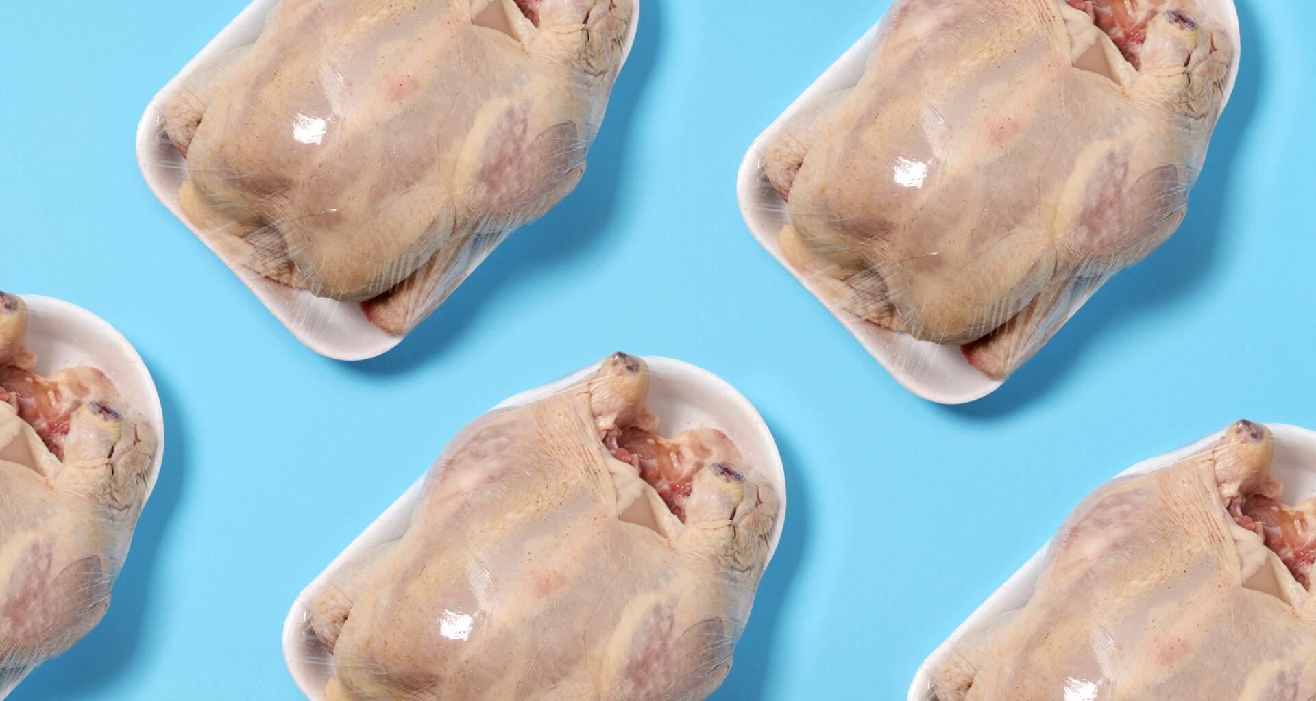 Poultry